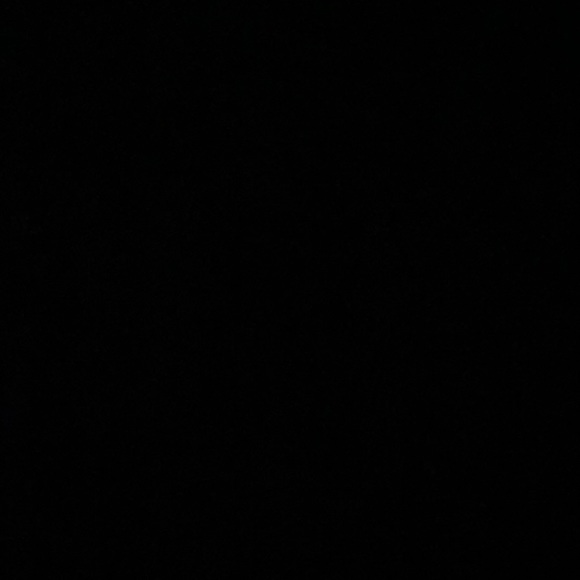 Meet your Posher, Laynie - Picture 1 of 1